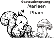 Schermafbeelding 2026-05-28 223644